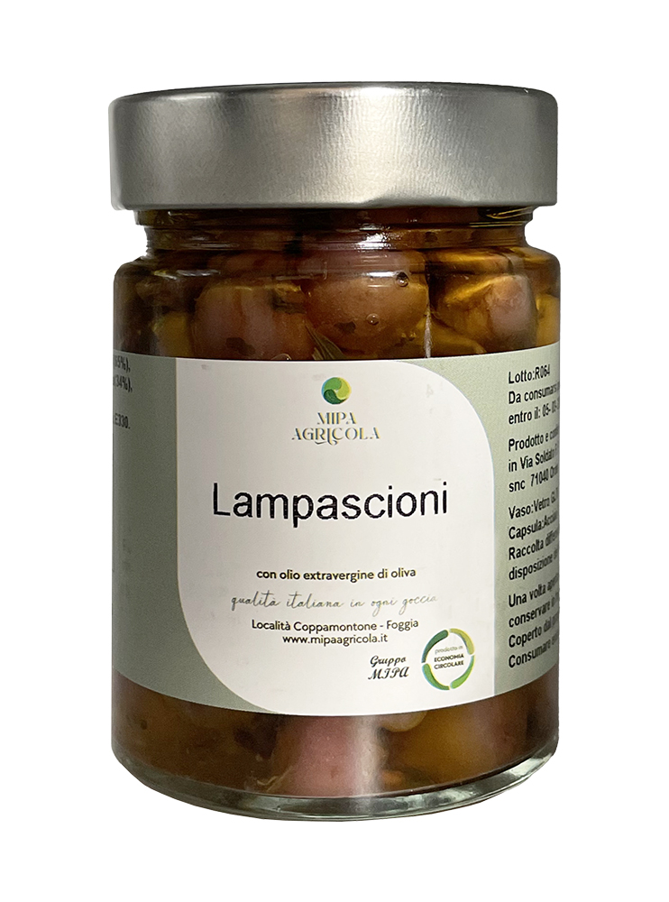 Lampascioni in Olio EVO biologico