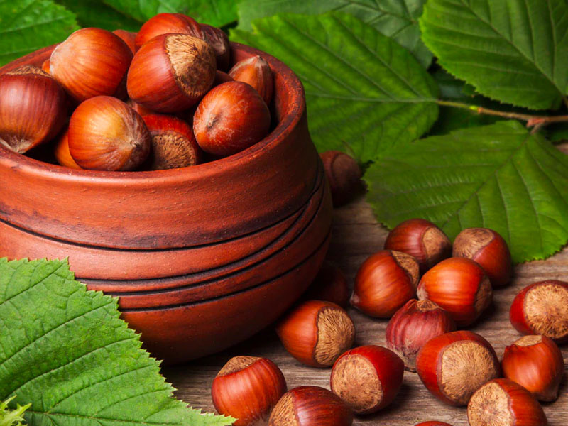 Nocciole: Una Scoperta Sana per il Palato