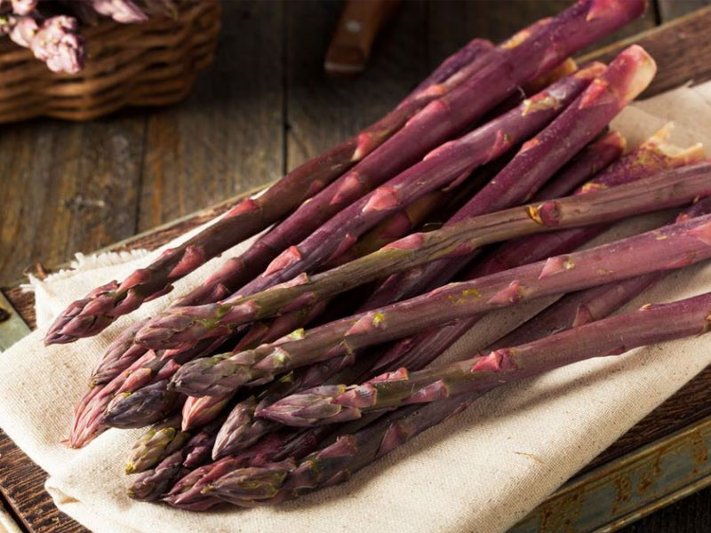 Gli Asparagi Viola: Un Tesoro di Primavera