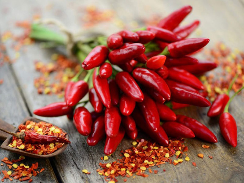 Peperoncini: Un Viaggio Piccante tra Storia, Cultura e Benefici