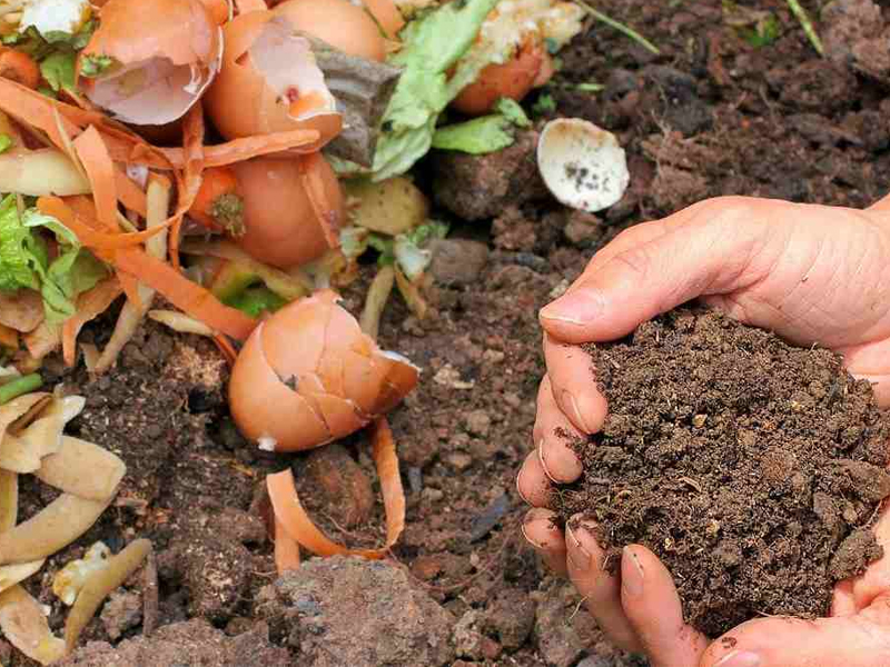 I Concimi in Agricoltura: Un Approfondimento Essenziale
