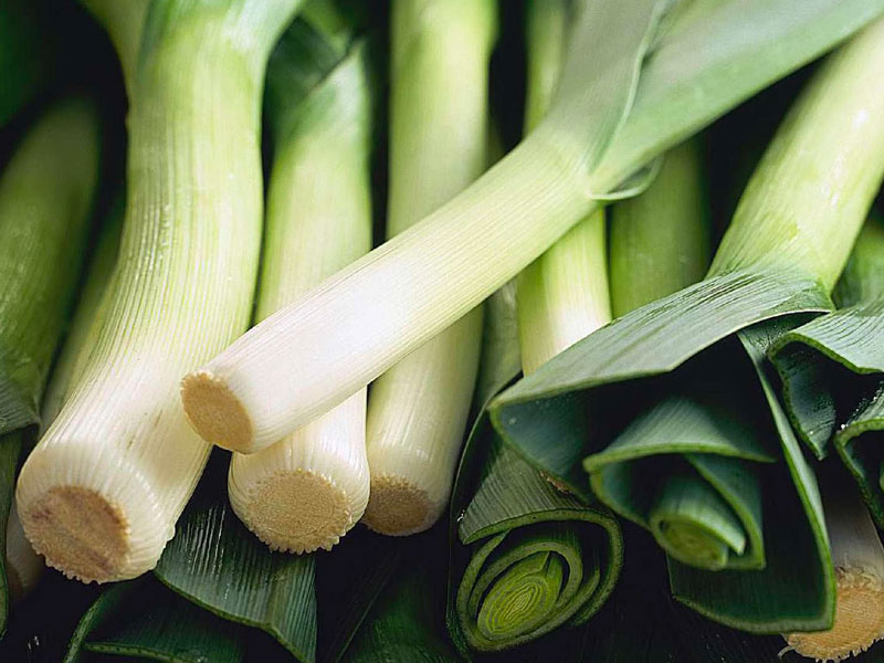 Salute e Nutrizione: I Benefici Ignorati dei Porri