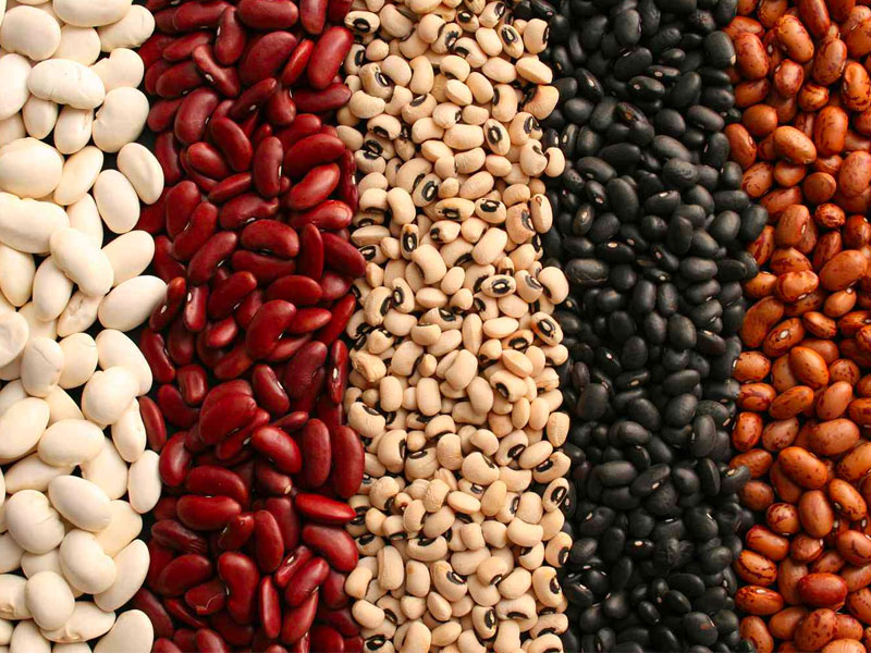 I Fagioli: Una Fonte Nutriente e Versatile nella Cucina Mondiale