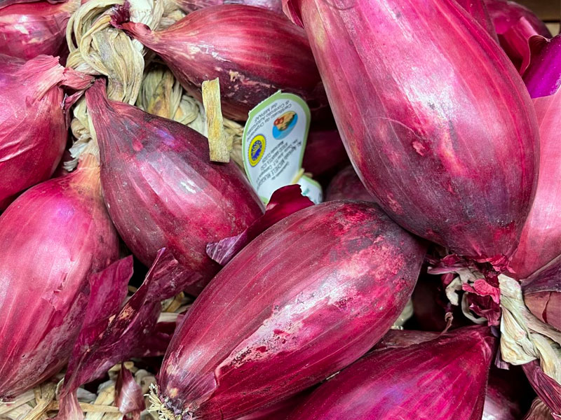 Le Cipolle di Tropea: Il Gusto e la Storia di un Tesoro Calabrese