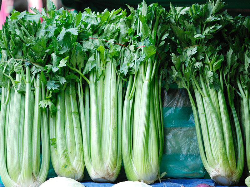 Il Sedano: Un Alimento Croccante e Nutriente da Scoprire