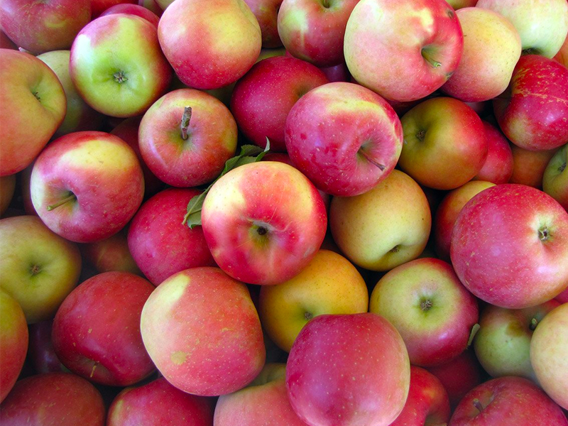 Esplorando il Gusto Dolce e Croccante delle Mele Fuji