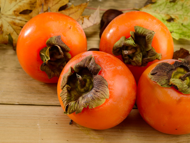 Dalla Cina al Mondo: Il Viaggio Gustoso dei Cachi