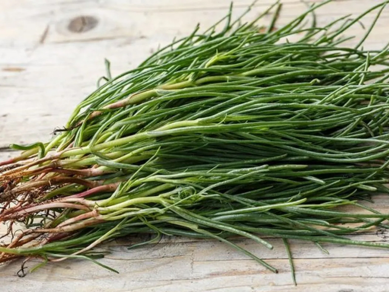 Agretti: La Delizia Verde dell'Italia