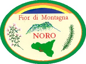Azienda Agricola Noro
